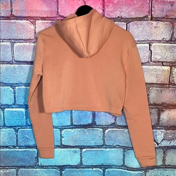 Women's Pink Hoodie - "Never Give Up" Size Large Cropped Love Streak Sweatshirt - Picture 3 of 6